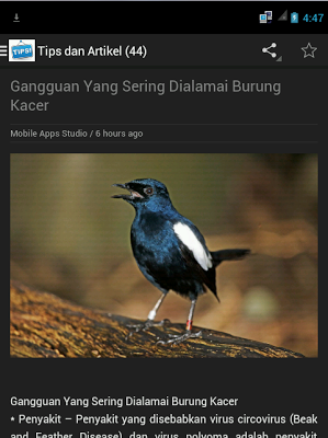 Burung Kacer On Google Play Reviews Stats