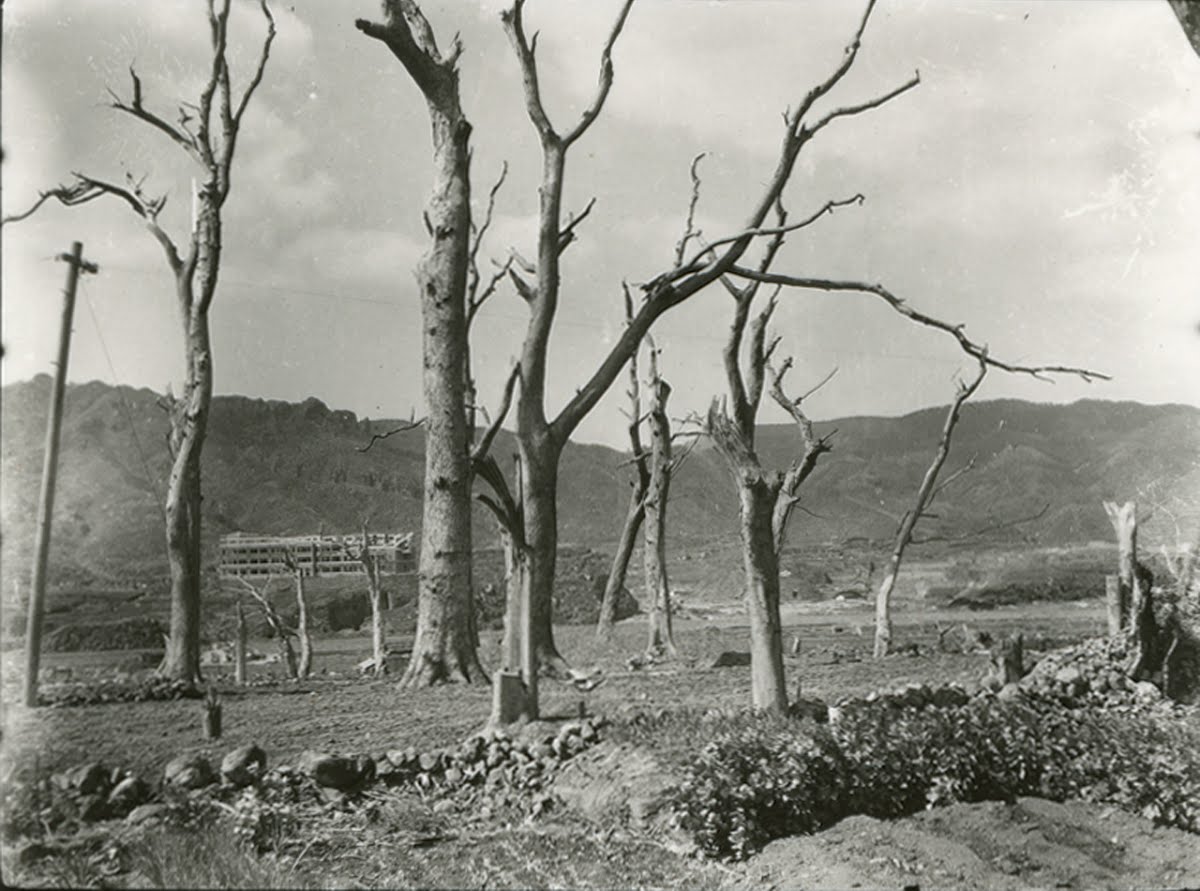 相川邸の立木 Hisashi Ishida Google Arts Culture