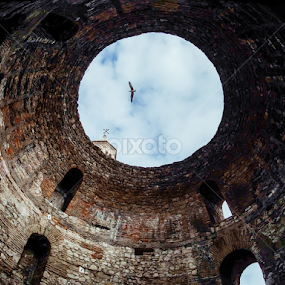 Vestibul Arena by Boris Romac - Buildings & Architecture Public & Historical