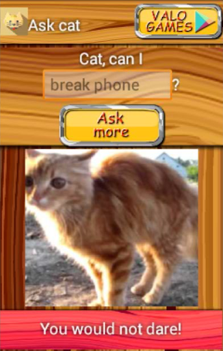Ask cat