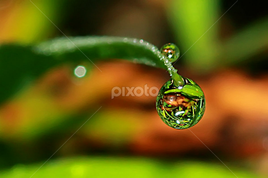 by Luxmen 46 - Nature Up Close Natural Waterdrops