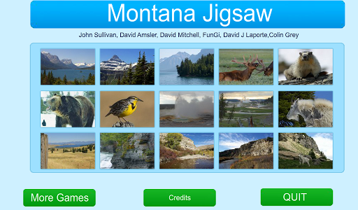 Montana Jigsaw