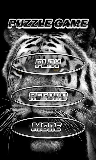 Wild Tiger 3D