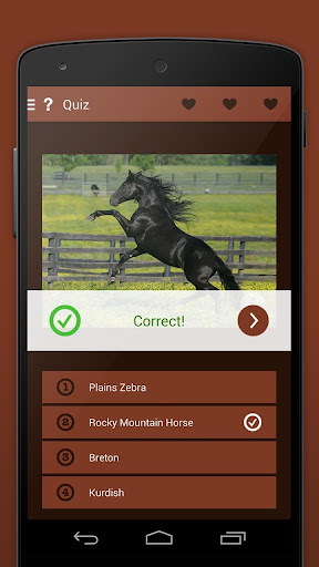 【免費書籍App】iKnow Horses 2 LITE-APP點子