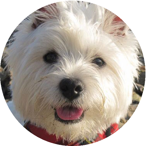 West Highland White Terrier LOGO-APP點子