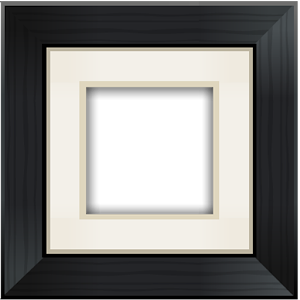 Aviary Frames: Original logo