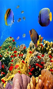 Under Sea Wallpaper Screenshots 2