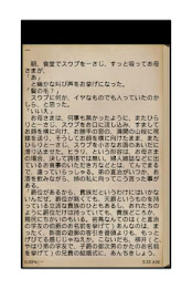 setting sun poster 3