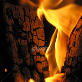 find something by Dora Verlic - Abstract Fire & Fireworks