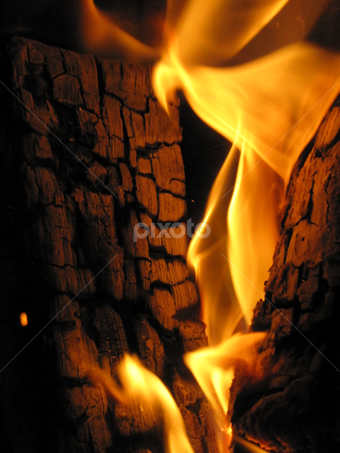 find something by Dora Verlic - Abstract Fire & Fireworks