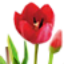 Flower Pot logo