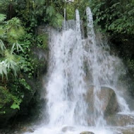 馬槽花藝村