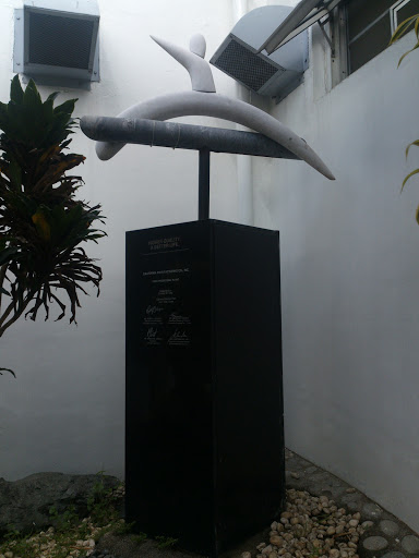 CMC Quality Recognition Statue