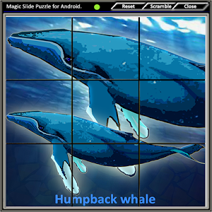Magic Slide Puzzle B Fishes 1.apk 1.29