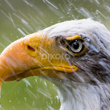 Raindrops keep falling on my head ....   by Renos Hadjikyriacou -  
