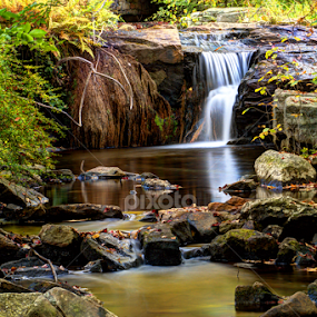 At Hickory Run State Park by Dave Martin - Landscapes Waterscapes