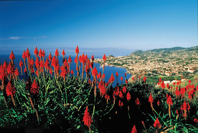 View of Funchal on the island of Madeira, Portugal.