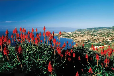 View of Funchal on the island of Madeira, Portugal.