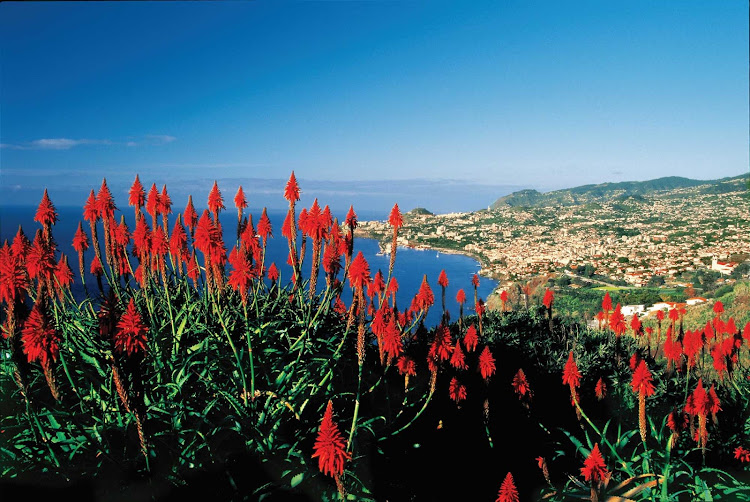 View of Funchal on the island of Madeira, Portugal.