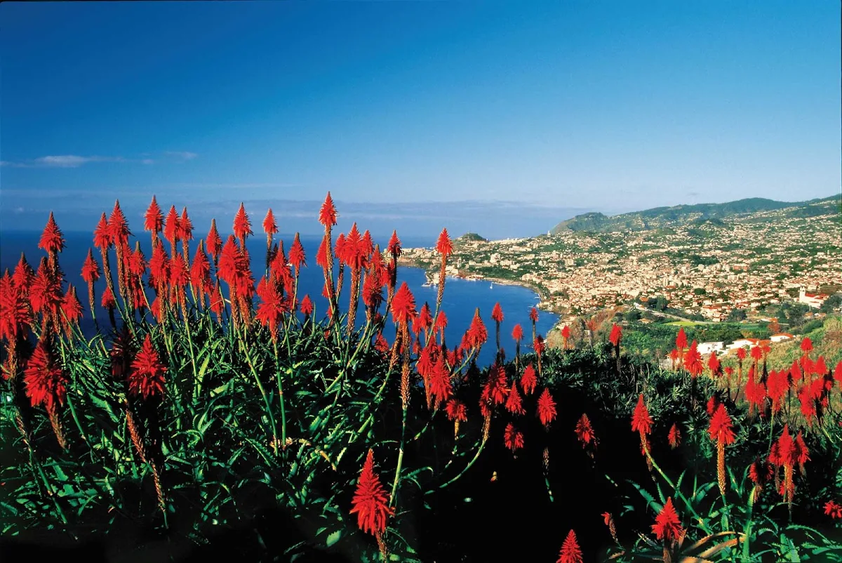 Funchal-Madeira-Portugal - View of Funchal on the island of Madeira, Portugal.