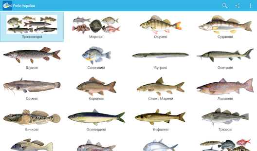 Риби України Screenshots 0
