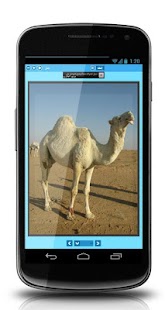 Learn Arabic Free For Kids - náhled