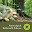 Nationalpark Kellerwald -alt Download on Windows