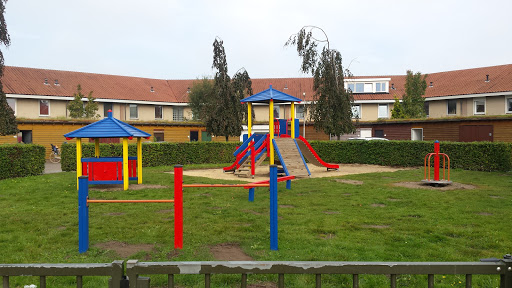 Color Playground
