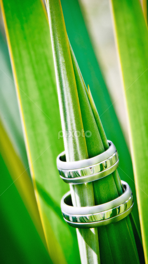 by Marino Foto - Wedding Details