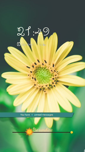 Flower HD Locker Theme