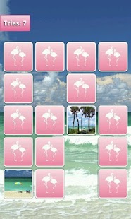 Florida Memory Game Screenshots 3
