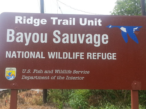 Bayou Sauvage Ridge Trail Unit
