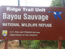Bayou Sauvage Ridge Trail Unit