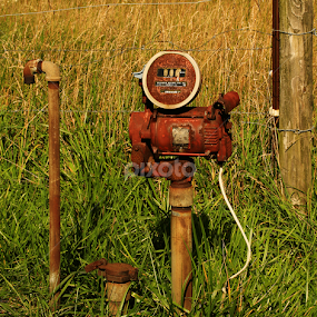 Old & Rusted by Marsha Biller - Artistic Objects Other Objects