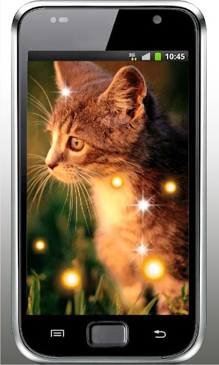 Kitty Best Free Live Wallpaper