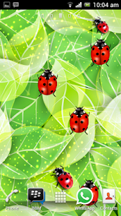 How to mod Colorful Ladybug Garden LWP 1.0 apk for android