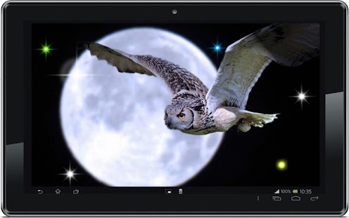 Owl Collection live wallpaper Screenshots 0
