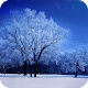 Winter HD Live Wallpaper by FunGames10 APK