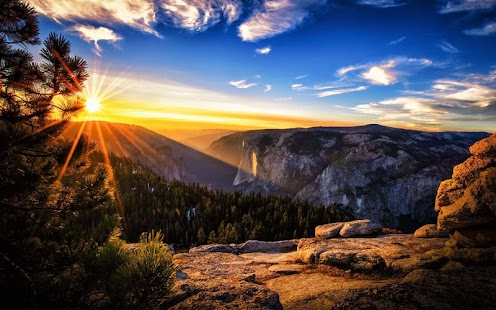 download Nature Wallpaper free