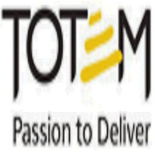 totem cyber security solutions