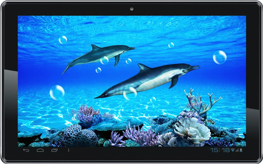 【免費個人化App】Dolphin Sounds Live Wallpaper-APP點子