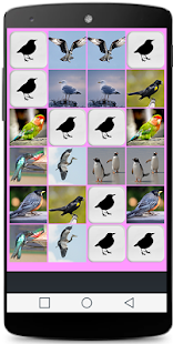Bird Memory Game Screenshots 7
