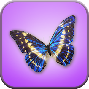 Butterfly Match Game For Kids.apk 1.0
