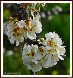 HD Photography India poster 5