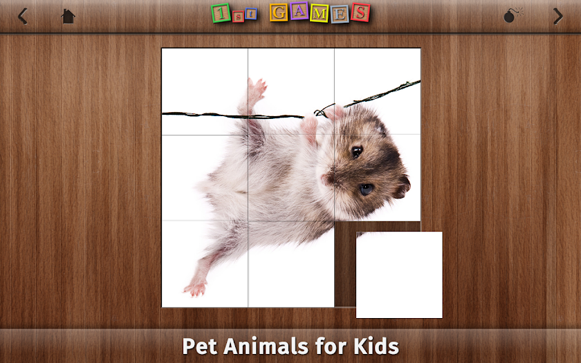 1st Games Pet Animals for Kids Screen 3