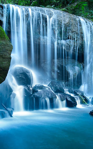 Wild Waterfalls Live Wallpaper