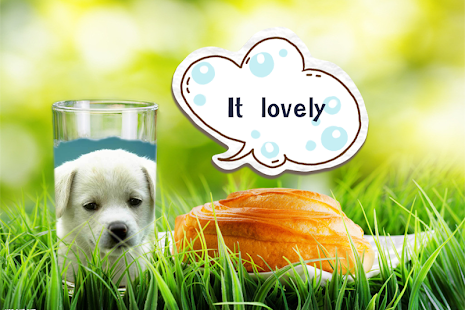 Free Download Glass Photo Frames APK
