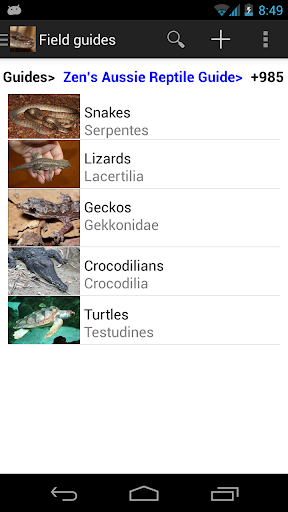 Zen's Australian Reptile Guide