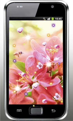 Sakura Gallery live wallpaper