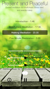 Present & Peaceful Meditation Screenshots 3